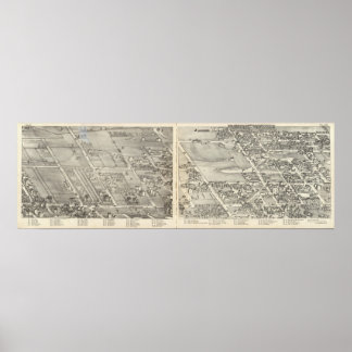 Póster San Luis, Misuri 12