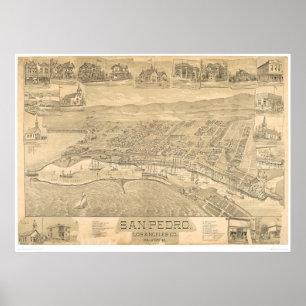 Póster San Pedro, mapa panorámico 1895 (1319A) del CA