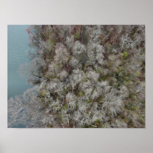 Póster Sanatoga Woods Schuylkill River PA