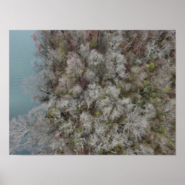 Póster Sanatoga Woods Schuylkill River PA (Frente)