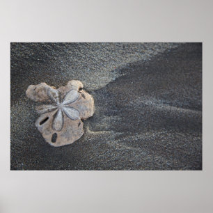 Póster Sand Dolon sand