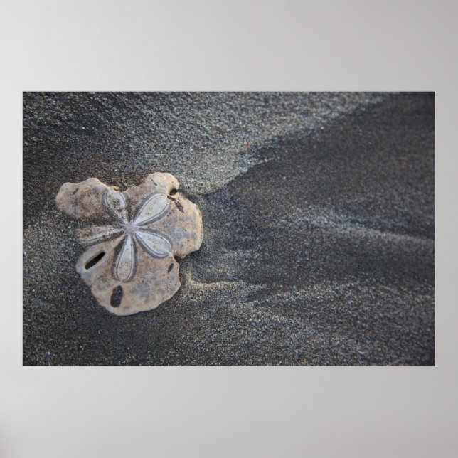 Póster Sand Dolon sand (Frente)