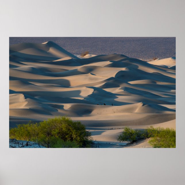 Póster Sand dune landscape, California (Frente)