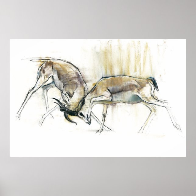 Póster Sand Gazelles 2009 (Frente)