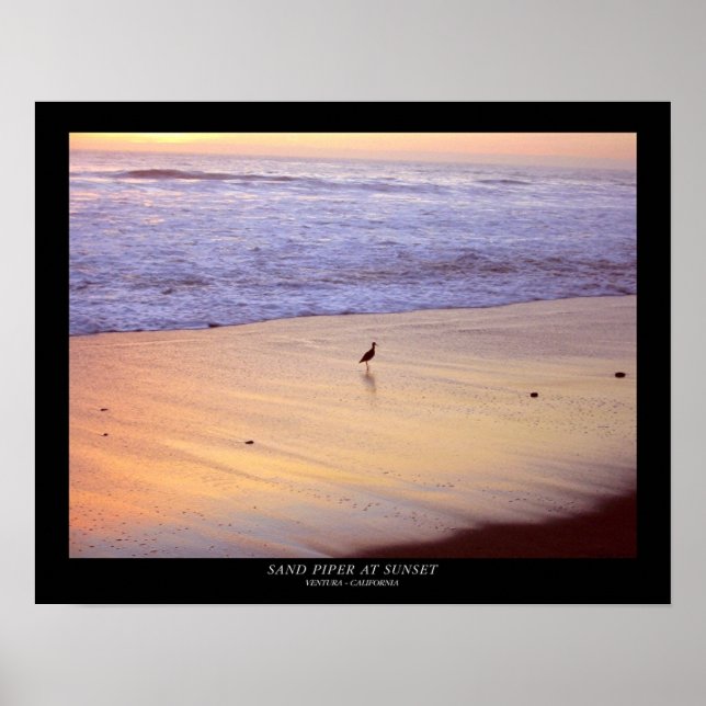 Póster Sand Piper at Sunset : Ventura - California (Frente)
