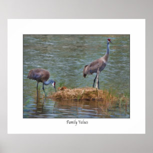 Póster Sandhill Crane " Family Values"  Print