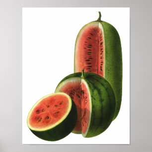 Póster Sandías Vintage Altas Redondas, Fruta Orgánica Com