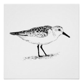 Póster sandpiper monochrome print