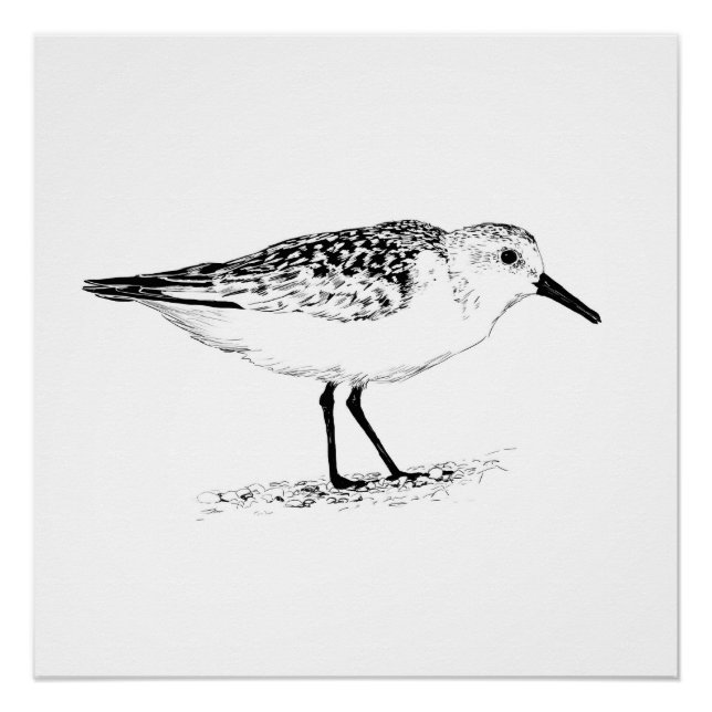 Póster sandpiper monochrome print (Anverso)