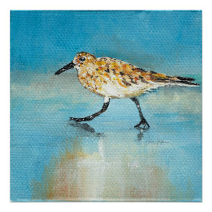 Póster Sandpiper Shorebird Glossy