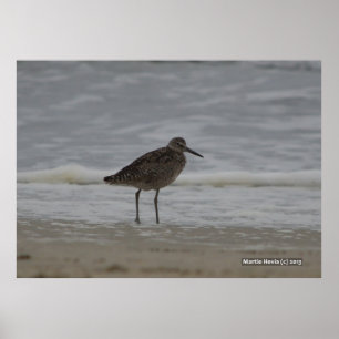 Póster Sandpiper V