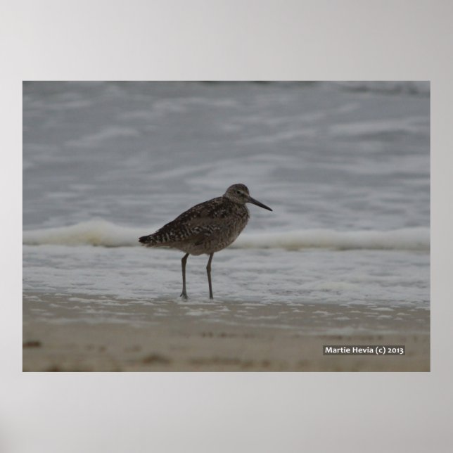 Póster Sandpiper V (Frente)