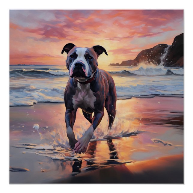 Póster Sandy American Staffordshire Dog on Beach Sunset (Anverso)
