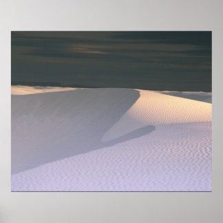 Póster Sandy Escudo