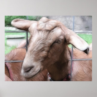 Póster Sandy La Cabra A La Puerta