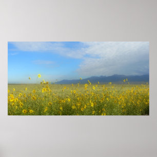 Póster Sangre de Cristo, grandes dunas de arena y flores