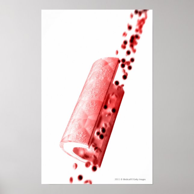 Póster Sangre fluyendo por una arteria (Frente)
