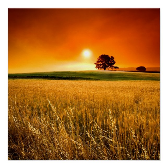 Póster Sangre-Red Sunset (Anverso)