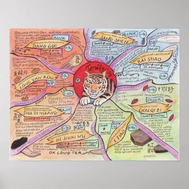 Póster Sangre Tonify (Frente)