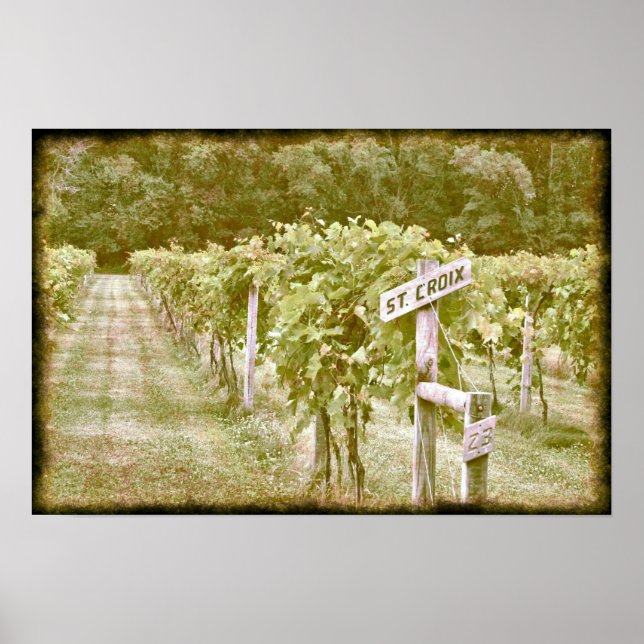 Póster Santa Cruz (Frente)