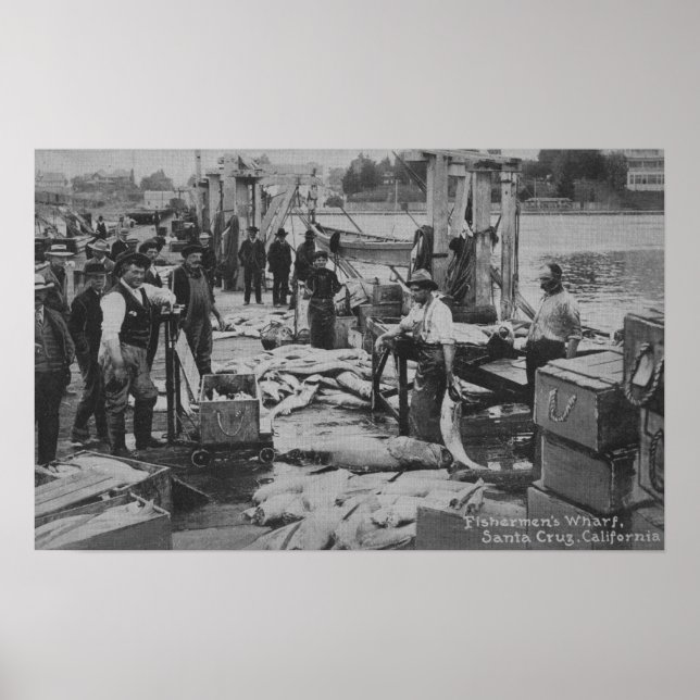 Póster Santa Cruz, CA - Escena del embarcadero de pescado (Frente)
