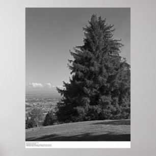 Póster Santa Cruz del Campus, abril de 1967