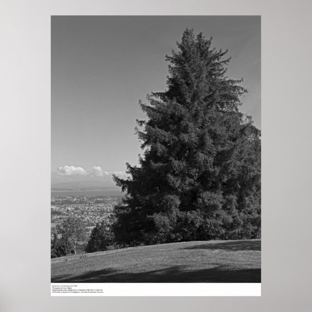 Póster Santa Cruz del Campus, abril de 1967 (Frente)