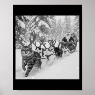Póster Santa divertido de Navidad trineo gatos renos self