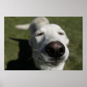 Póster Santa Fe, Nuevo México