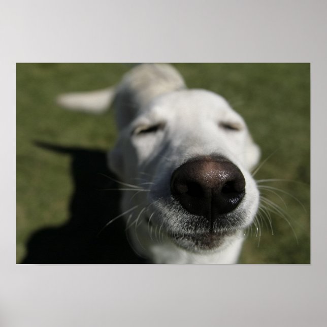 Póster Santa Fe, Nuevo México (Frente)