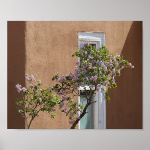Póster Santa Fe, Nuevo México, Lilacs