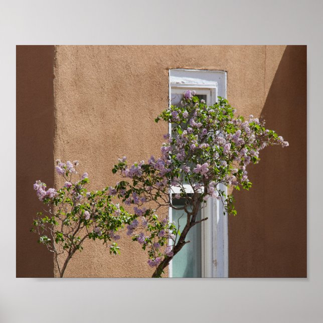 Póster Santa Fe, Nuevo México, Lilacs (Frente)
