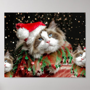 Póster Santa Gato