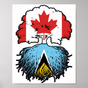 Póster Santa Lucía Santa Lucía Raíz canadiense de árbol c