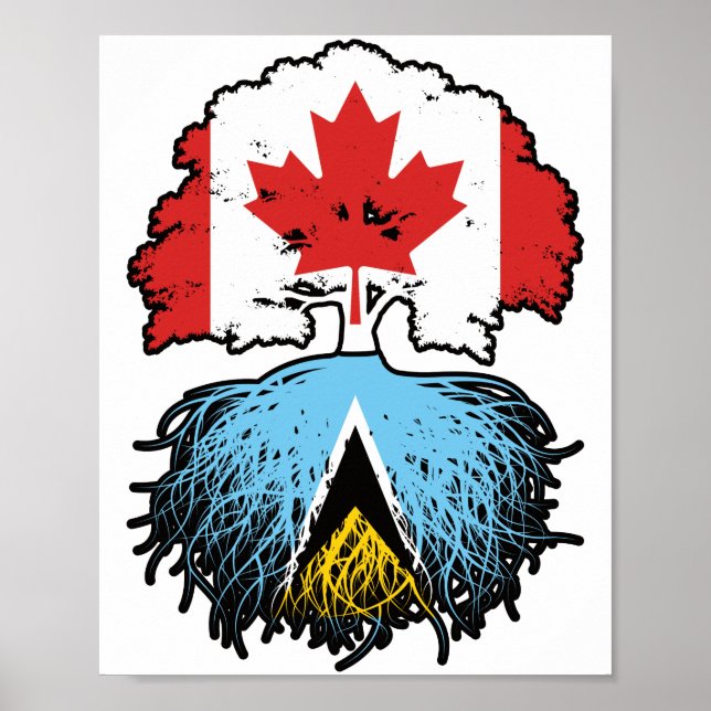 Póster Santa Lucía Santa Lucía Raíz canadiense de árbol c (Frente)