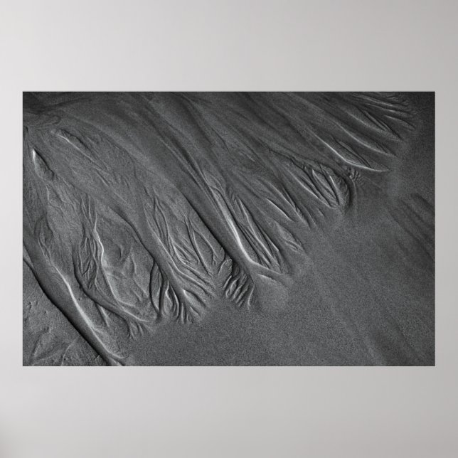 Póster Santa Mónica (Frente)