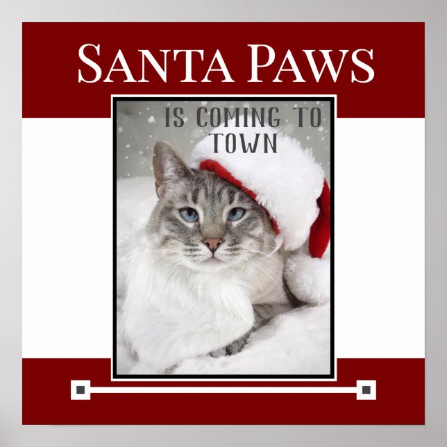 Póster Santa Paws Viene A Los Navidades De La Ciudad (Frente)