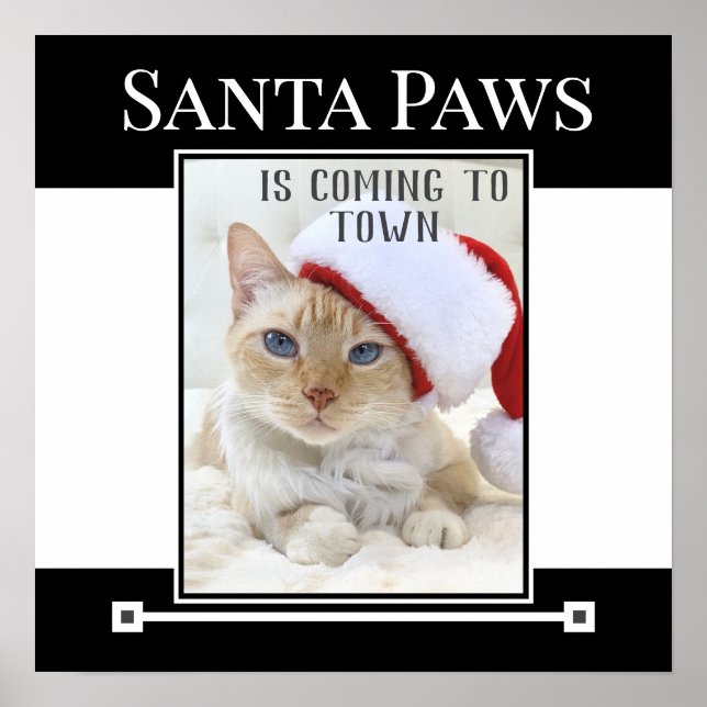 Póster Santa Paws Viene Al Poster De Navidades Locales (Frente)
