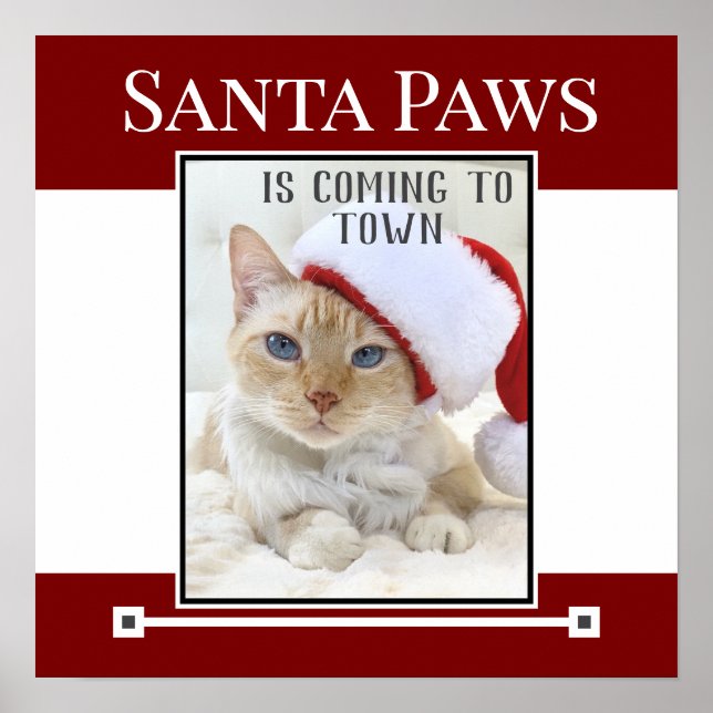 Póster Santa Paws Viene Al Poster De Navidades Locales (Frente)