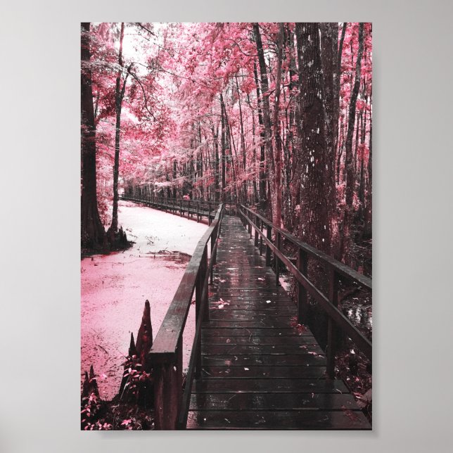 Póster santant swamp dreamscape (Frente)