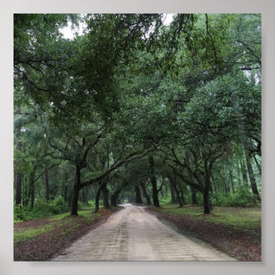 Póster santee road