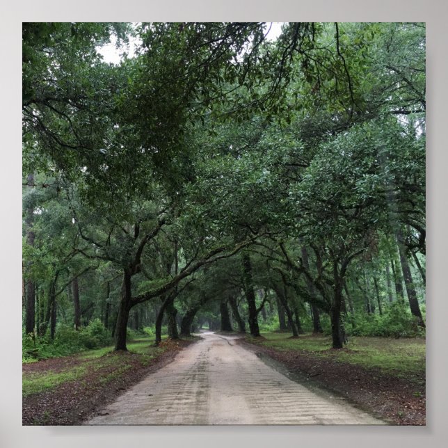 Póster santee road (Frente)