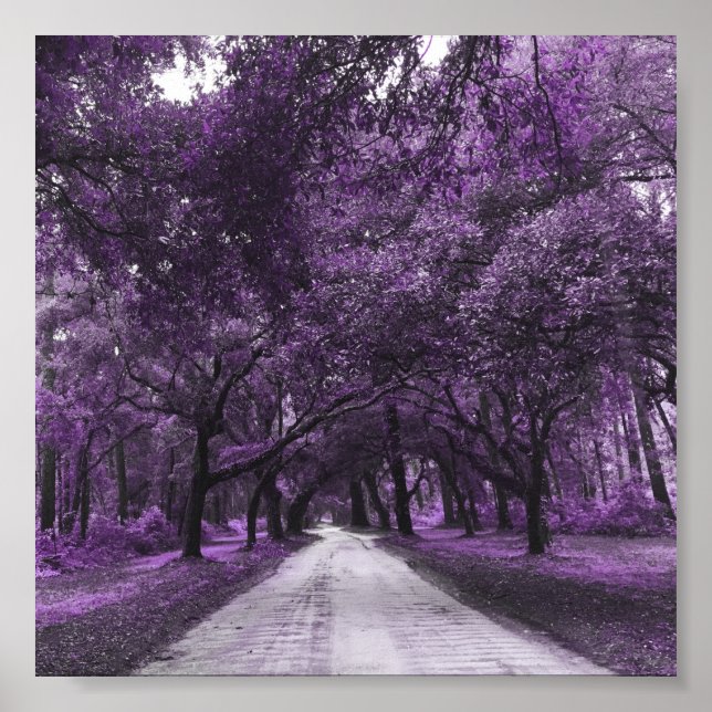 Póster santee road poster (Frente)