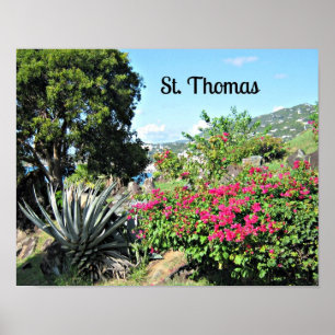 Póster Santo Tomás