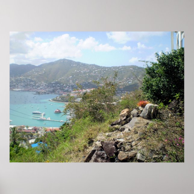 Póster Santo Tomás (Frente)