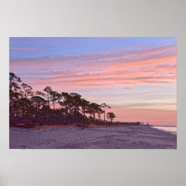 Póster Santuario de Aves Audubon Playa al Amanecer, Alaba
