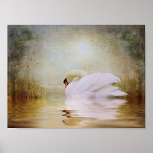 Póster Santuario dentro