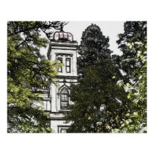 Santuario entre los árboles