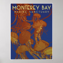 Santuario marino de la bahía de Monterey; medusas
