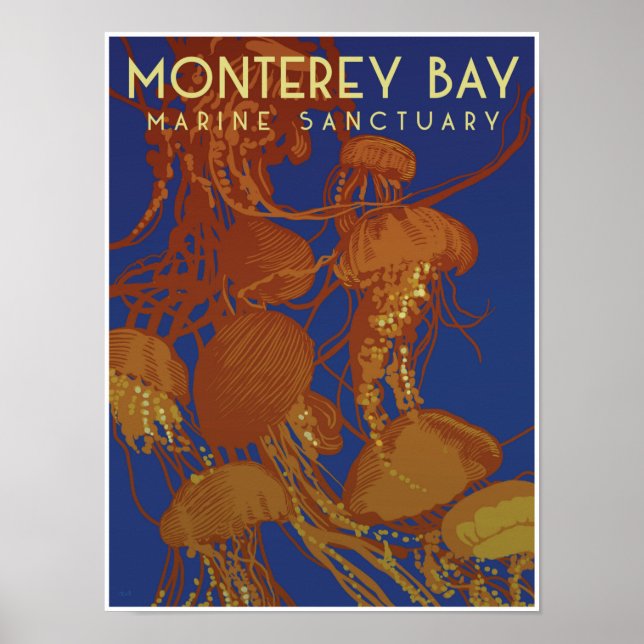 Póster Santuario marino de la bahía de Monterey; medusas (Frente)